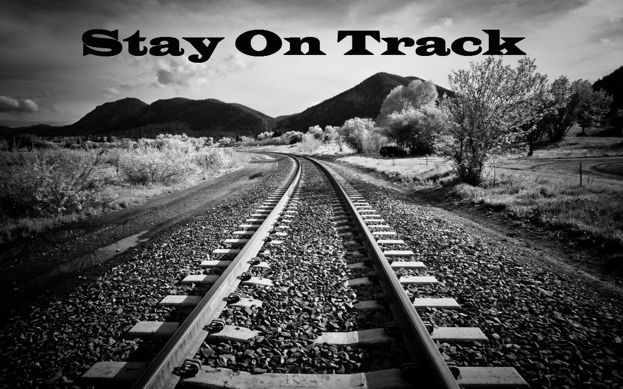 Stay Track Stay on Track – Direct Insights